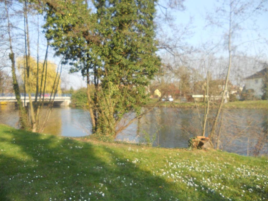L'Hotel Des Bords De L'Ill Erstein Bagian luar foto